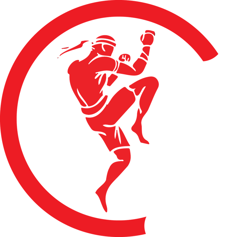 Martial Arts Logo Png